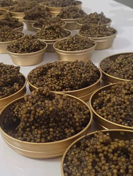 Caviar Osetra Imperial